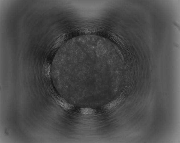 X0000097460336200803201431