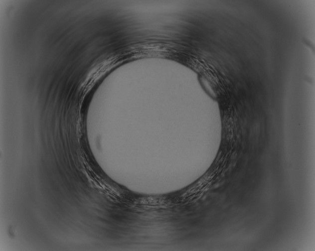 X0000097460338200803201431