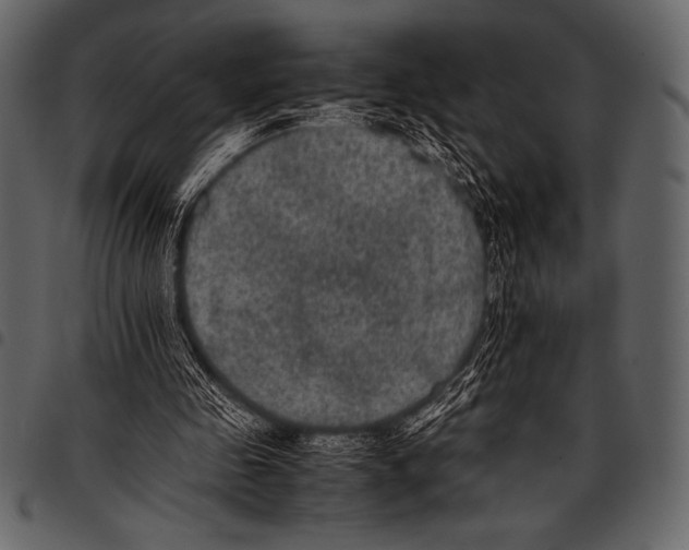 X0000097460341200803201431