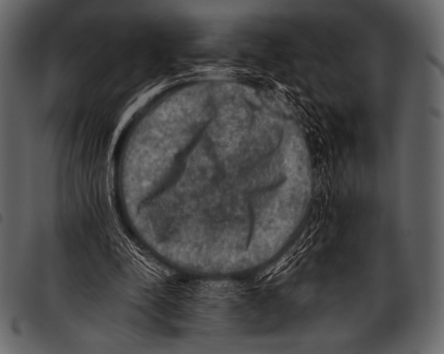 X0000097460342200803201431