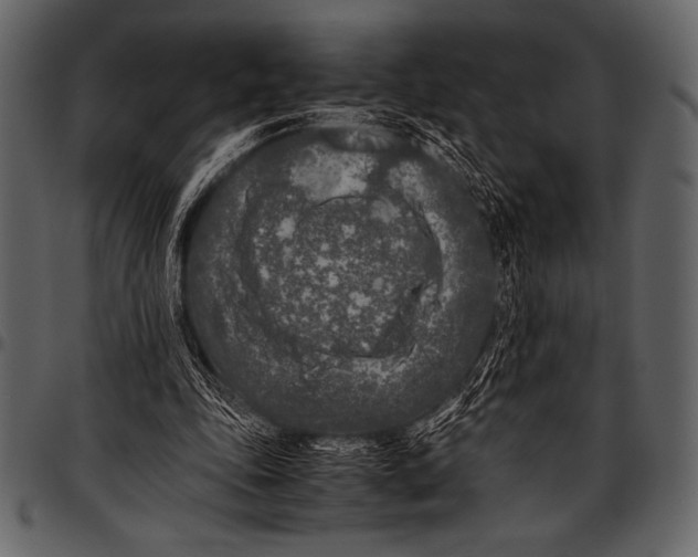 X0000097460343200803201431