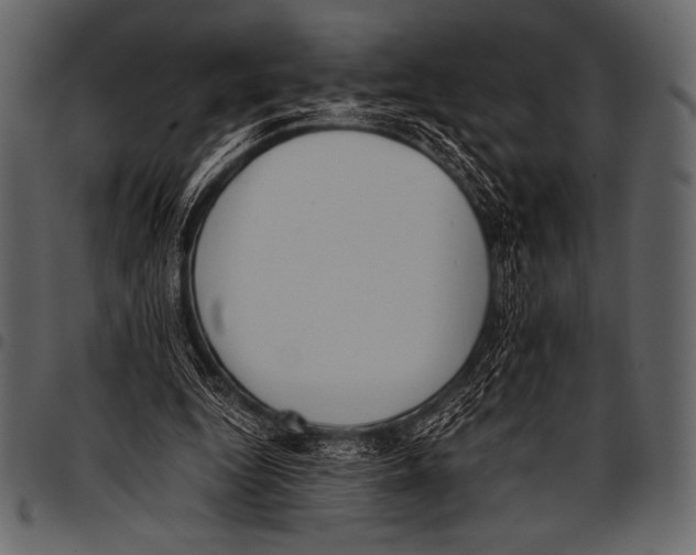 X0000097460344200803201431