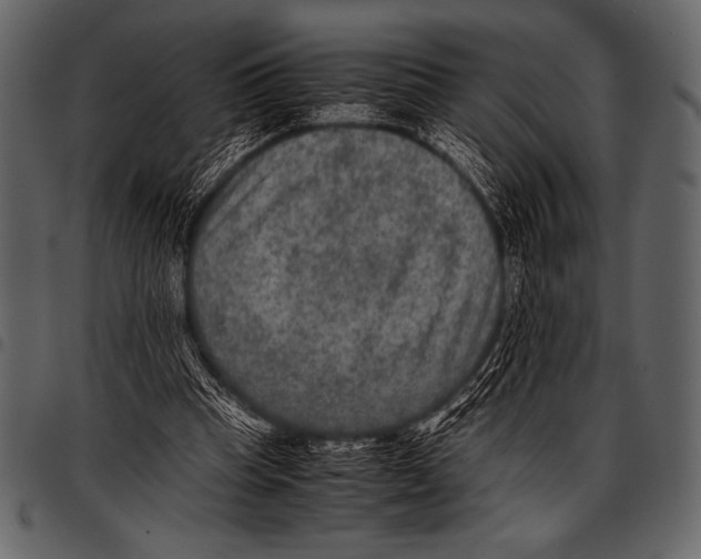 X0000097460345200803201431