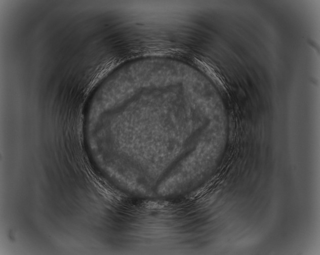 X0000097460346200803201431