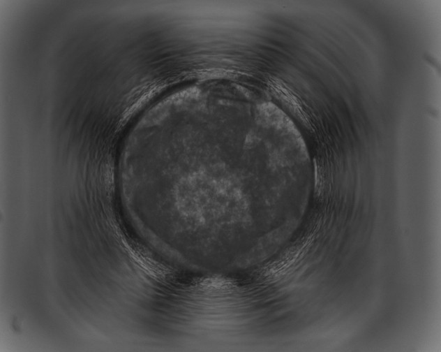 X0000097460348200803201431