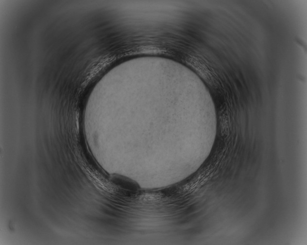 X0000097460350200803201431