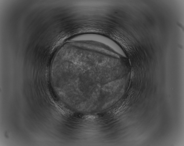 X0000097460352200803201431