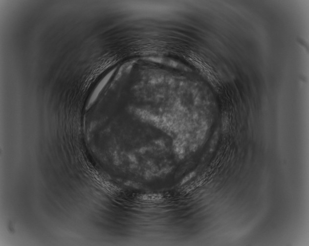 X0000097460353200803201431