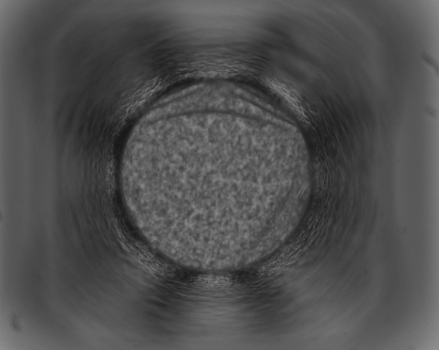 X0000097460354200803201431