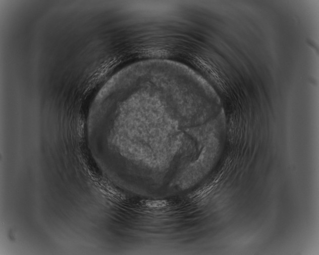 X0000097460355200803201431