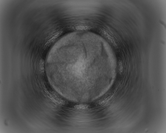 X0000097460356200803201431