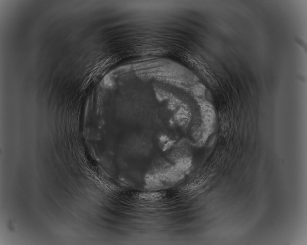 X0000097460357200803201431