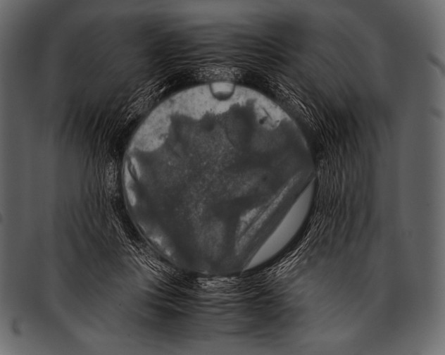 X0000097460359200803201431