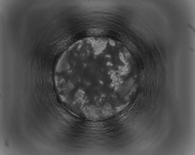 X0000097460361200803201431