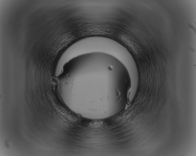 X0000097460362200803201431