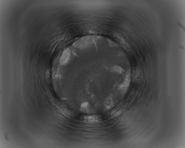 X0000097460365200803201431