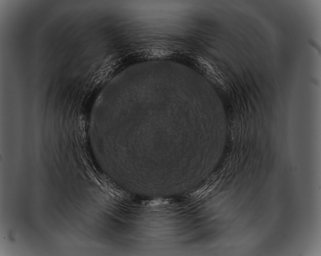 X0000097460366200803201431