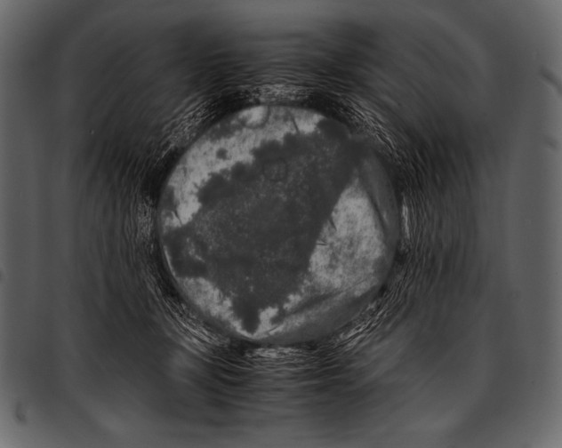 X0000097460367200803201431