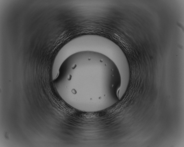 X0000097460370200803201431