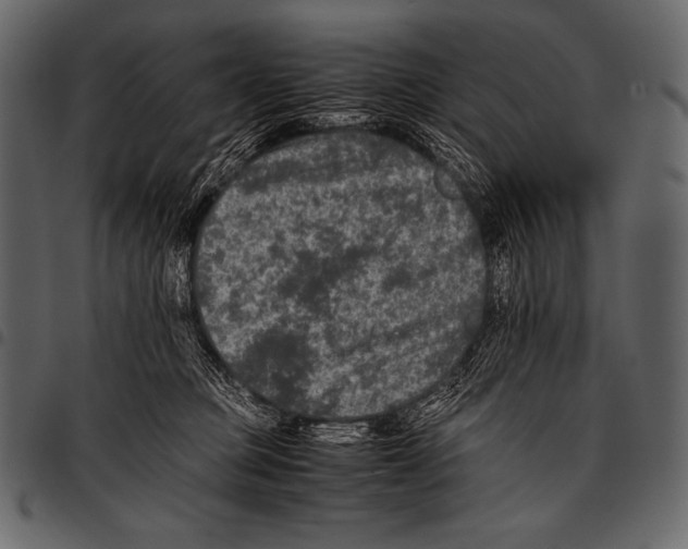 X0000097460373200803201431