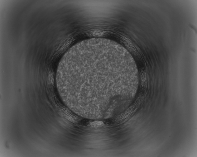 X0000097460374200803201431