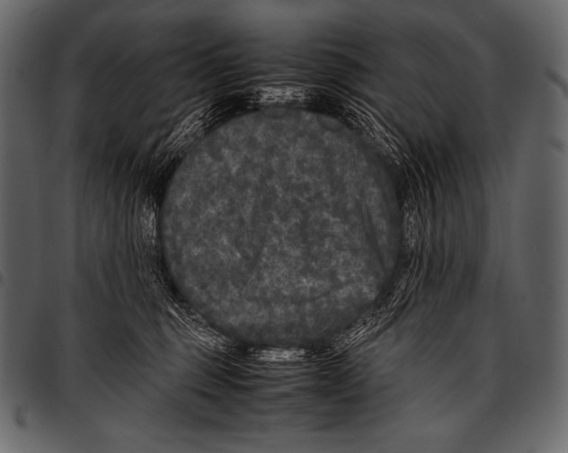 X0000097460375200803201431