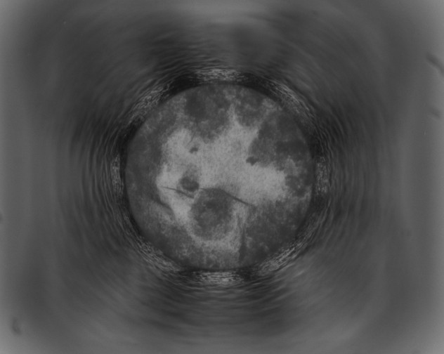 X0000097460377200803201431