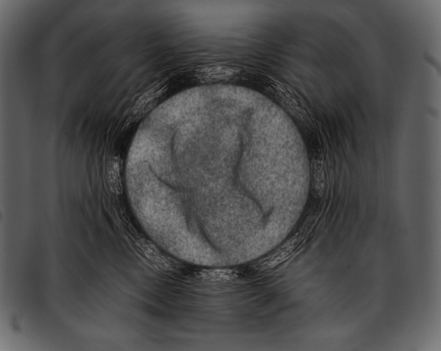 X0000097460378200803201431