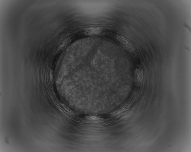 X0000097460380200803201431