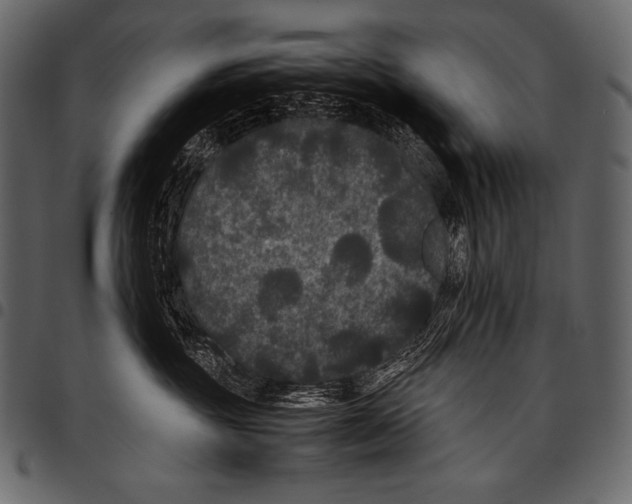 X0000097460381200803201431