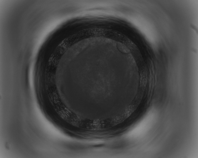 X0000097460383200803201431