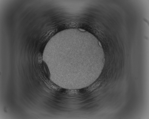 X0000097460384200803201431