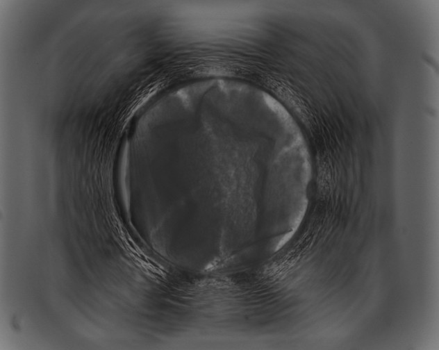 X0000097460386200803201431