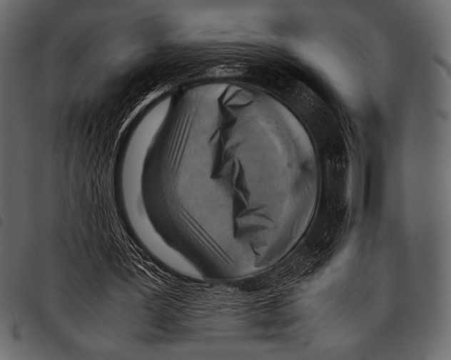 X0000097460387200803201431