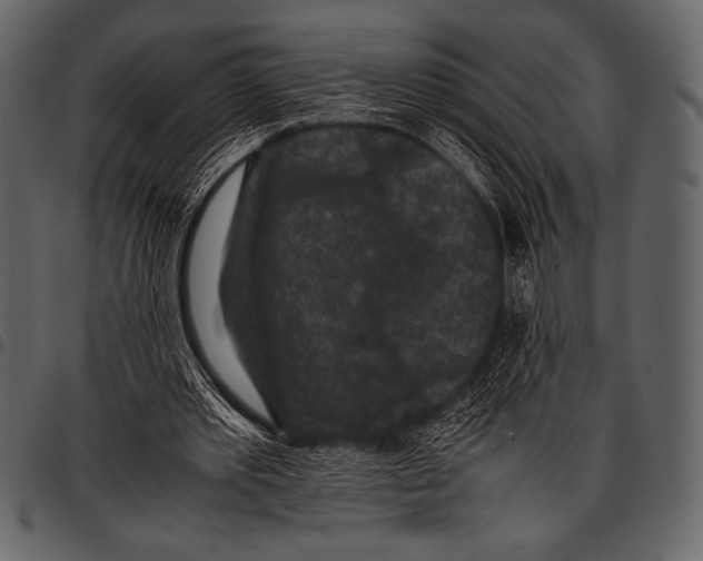 X0000097460389200803201431