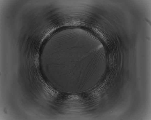 X0000097460392200803201431