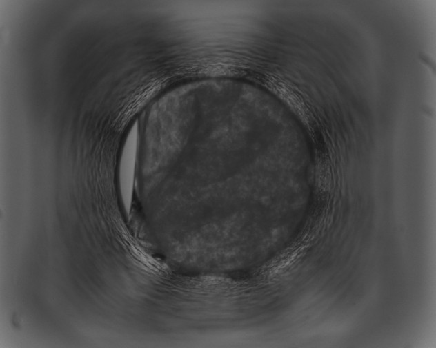 X0000097460393200803201431