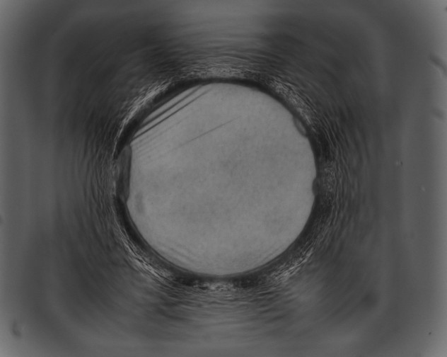 X0000097460395200803201430