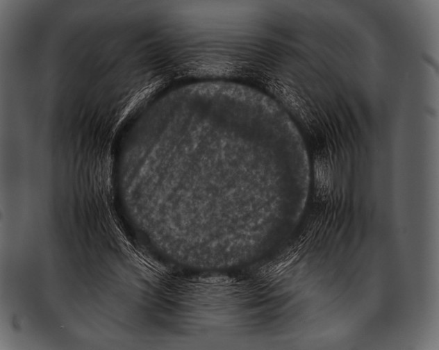 X0000097460396200803201430