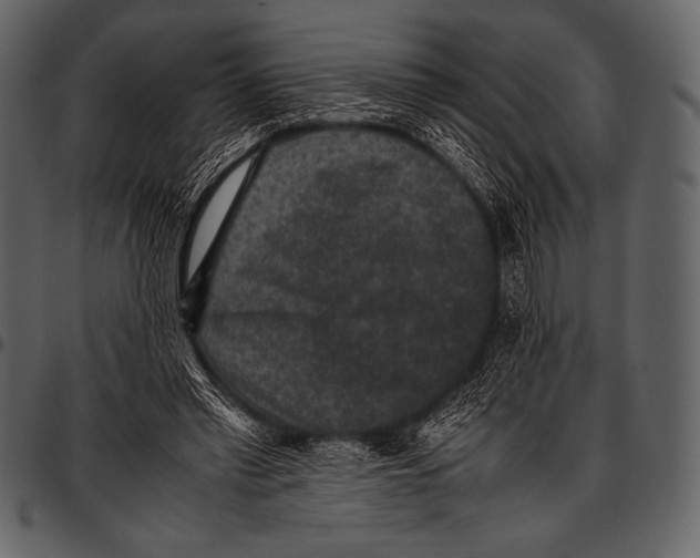 X0000097460397200803201430