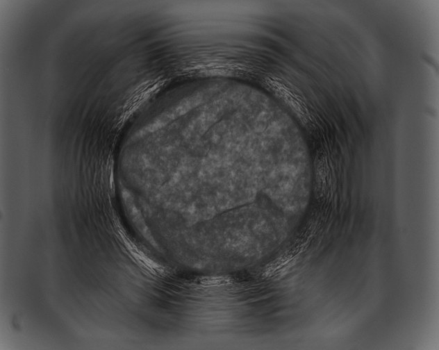 X0000097460398200803201430