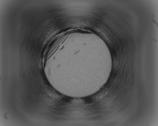 X0000097460403200803201430