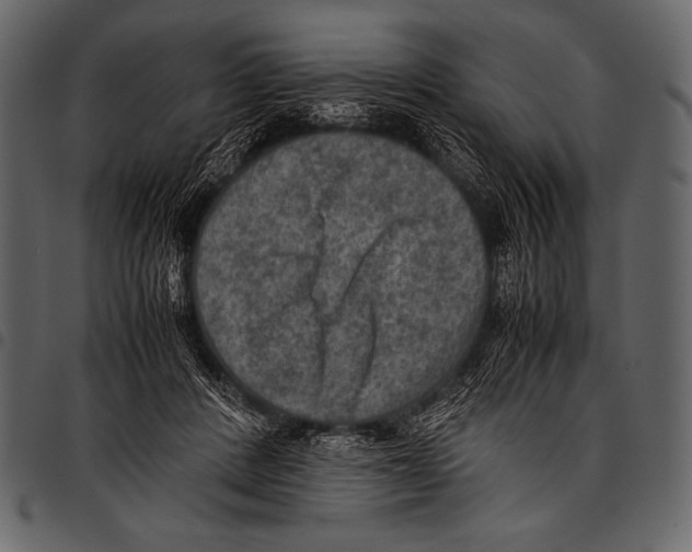 X0000097460408200803201430