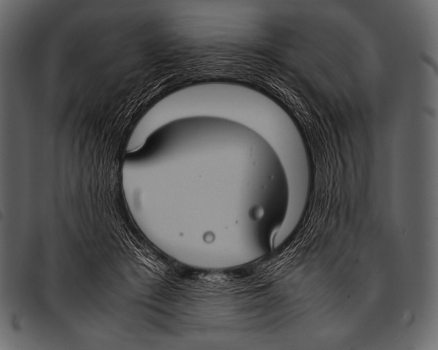 X0000097460409200803201430