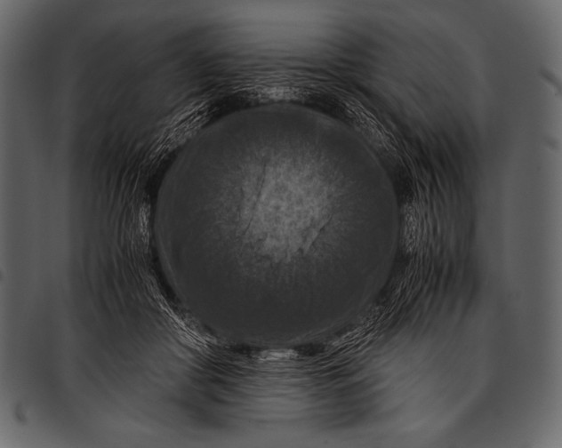 X0000097460410200803201430