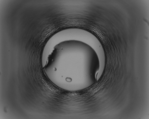 X0000097460411200803201430