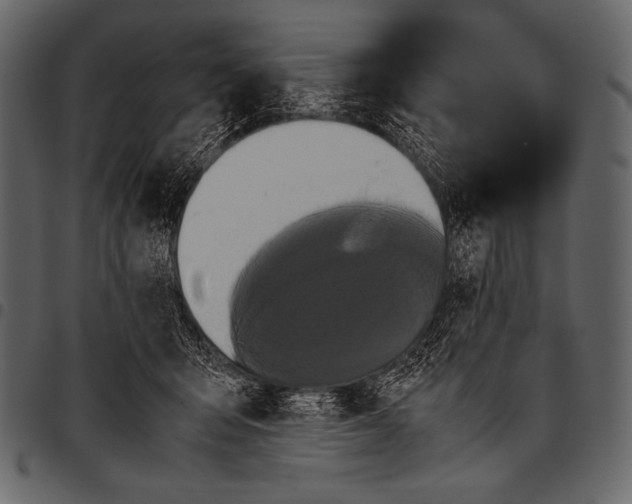 X0000097460415200803201430