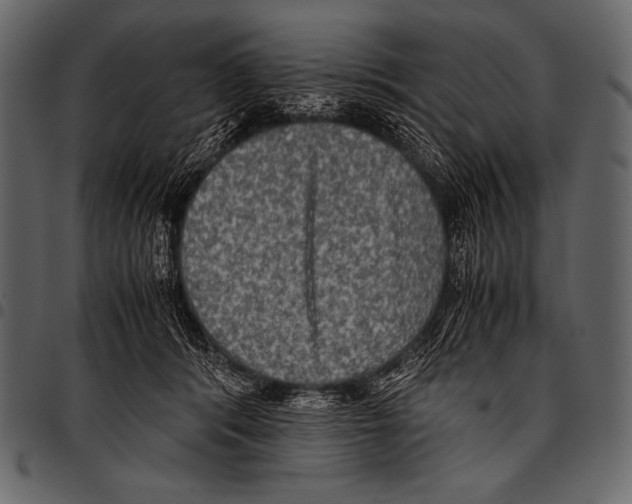 X0000097460416200803201430