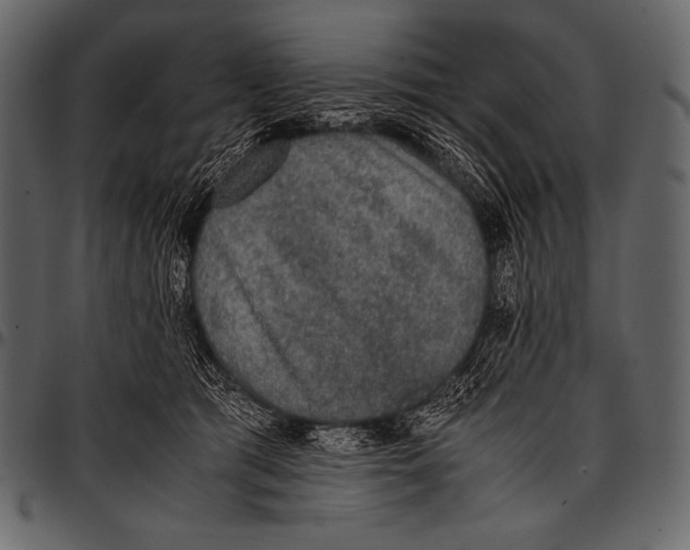 X0000097460417200803201430