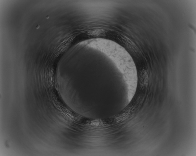 X0000097460420200803201430